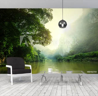 Picture of Tropical river